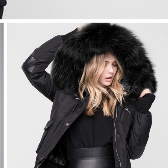 Meet your Posher, Riki - Picture 1 of 1